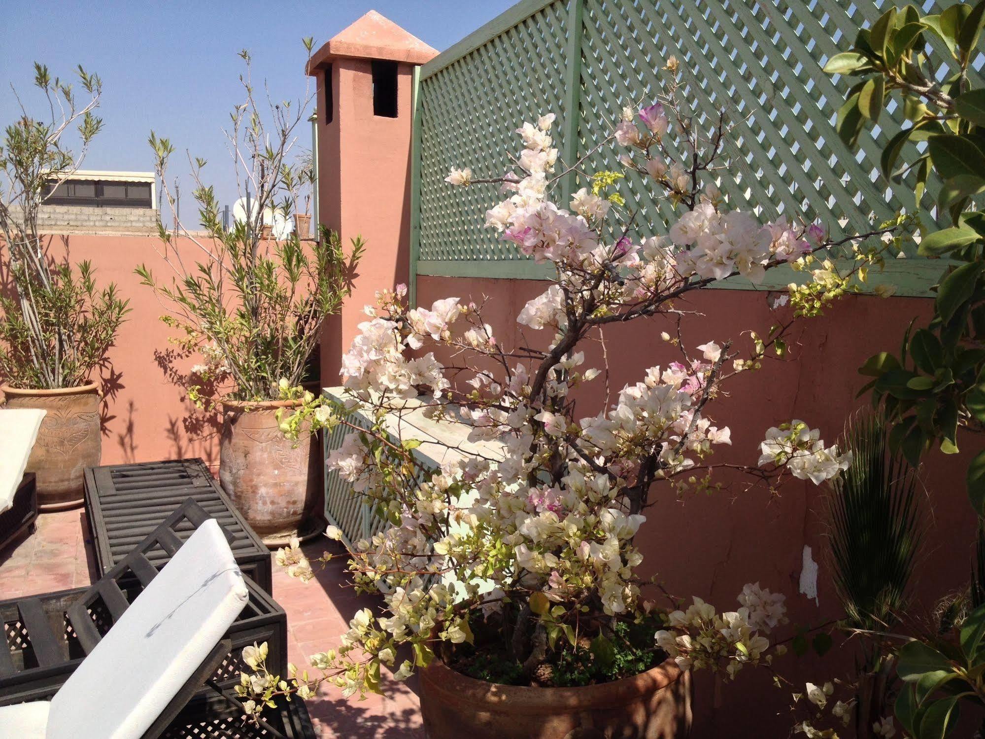 Riad Mariana Marrakesh Bagian luar foto